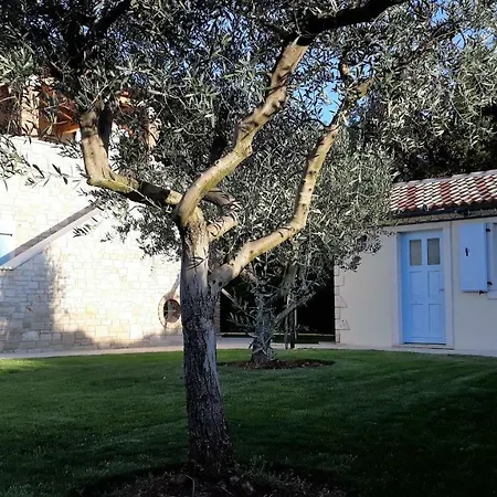 Pomegrana 别墅 Tar-Vabriga