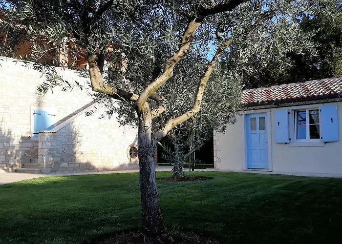 Pomegrana 빌라 Tar-Vabriga